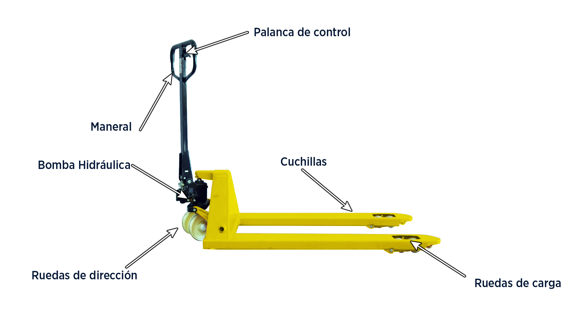 Cada parte del patín es indispensable para su eficiente operación